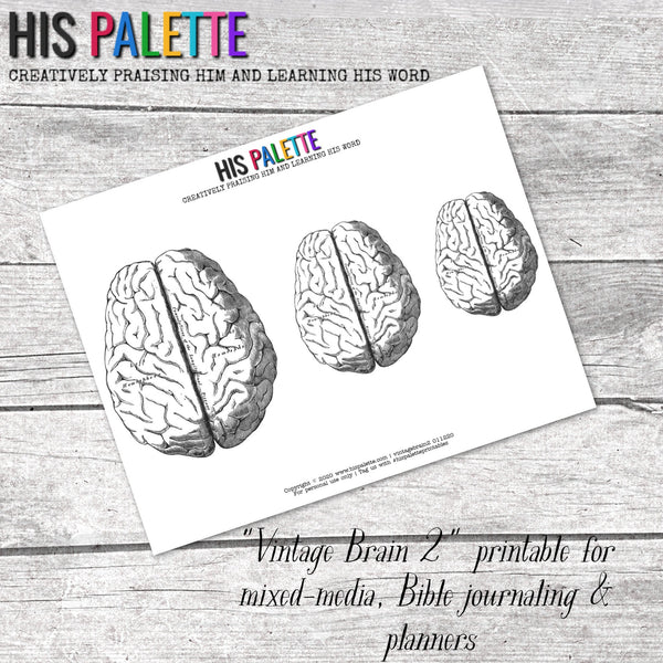 His Palette - "Vintage Brain 2" Printable for Mixed-Media, Bible Journaling and Faith Art